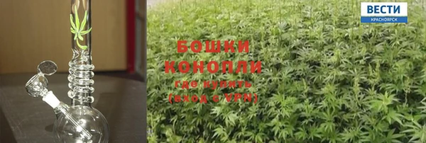 ГАЛЛЮЦИНОГЕННЫЕ ГРИБЫ Абаза