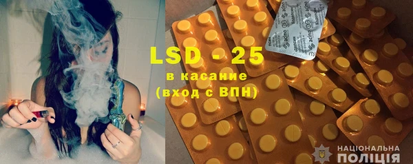 ГАЛЛЮЦИНОГЕННЫЕ ГРИБЫ Абаза