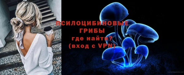 ГАЛЛЮЦИНОГЕННЫЕ ГРИБЫ Абаза